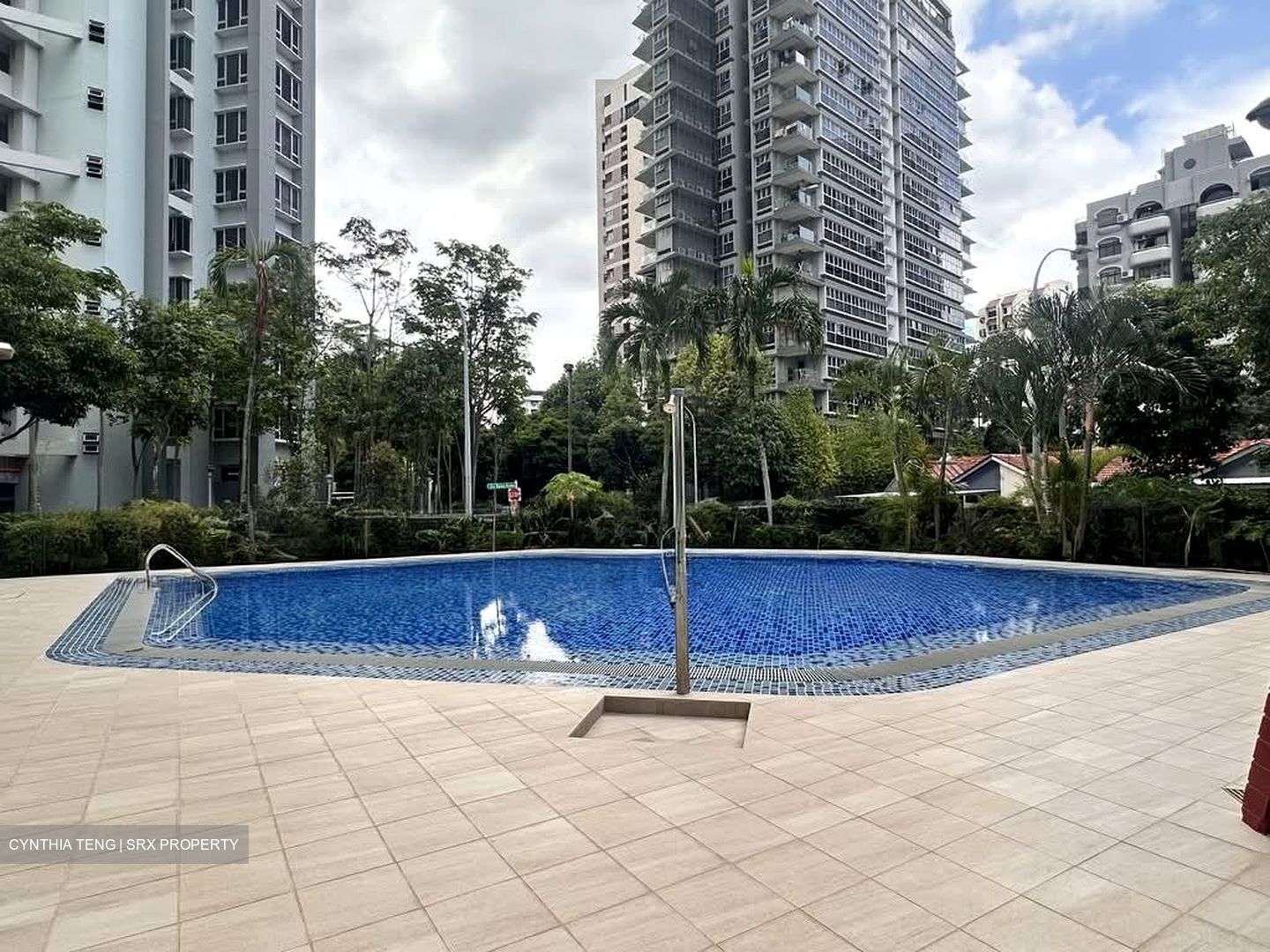 Rajah Tower (D12), Apartment #574250501